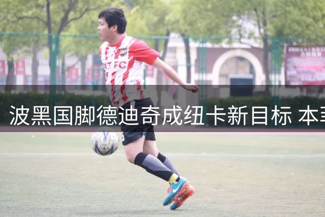 波黑国脚德迪奇成纽卡新目标 本菲卡开启转会谈判